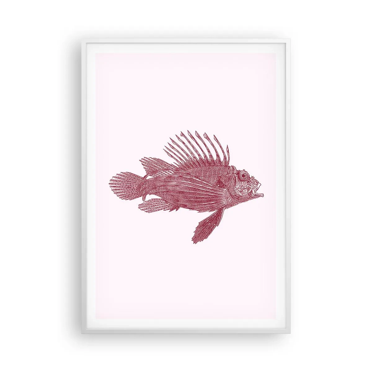 Poster în ramă albă - Un locuitor al apelor exotice - 70x100 cm