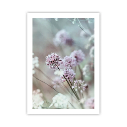 Poster - Ierburi dulci filigranate - 50x70 cm