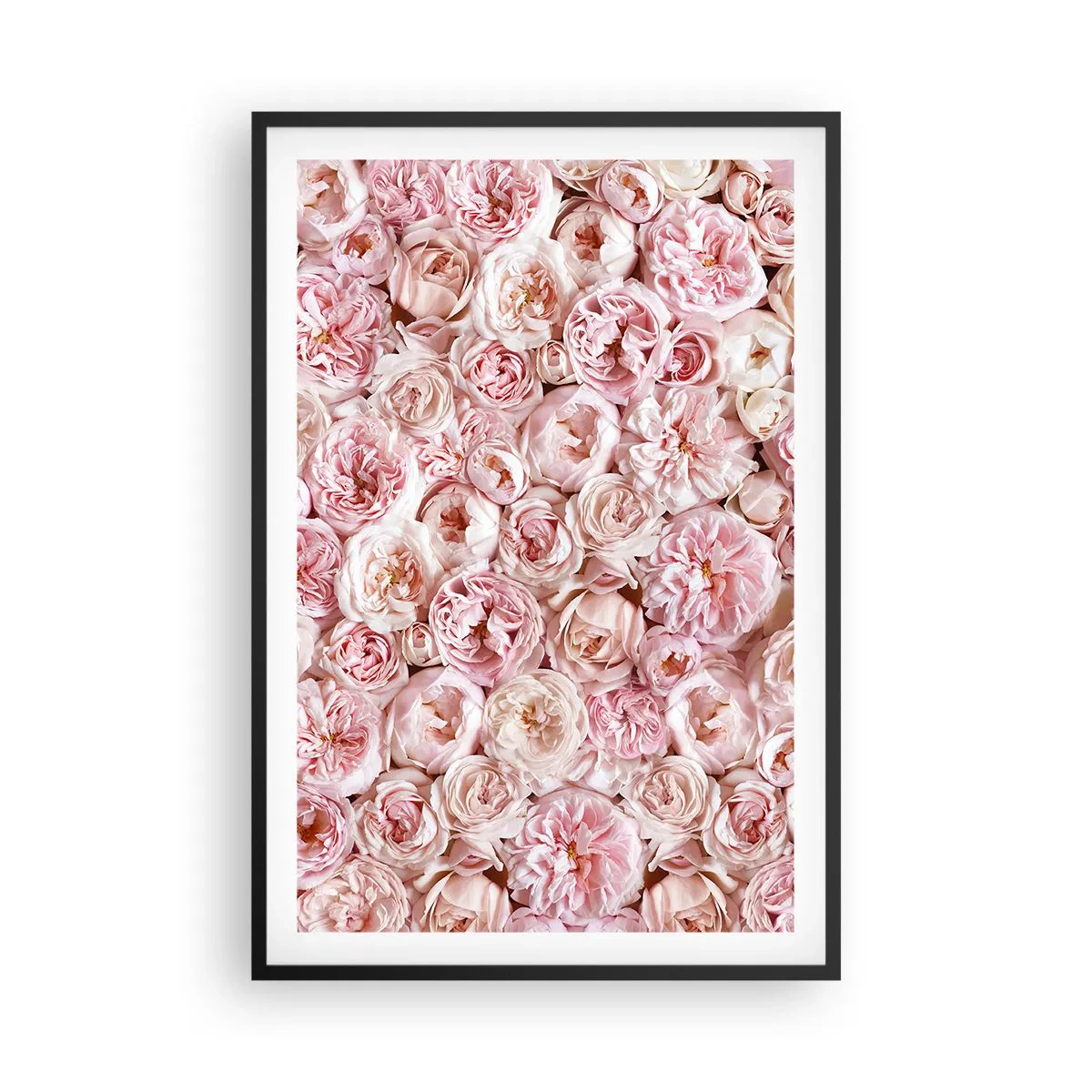 Poster în ramă neagră - Presărat cu trandafiri - 61x91 cm