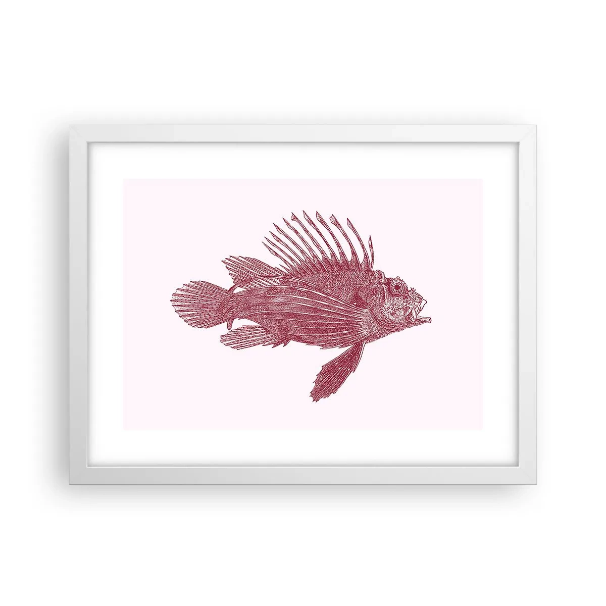 Poster în ramă albă - Un locuitor al apelor exotice - 40x30 cm