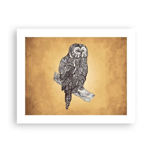 Poster - Ornamente complicate de înțelepciune - 50x40 cm