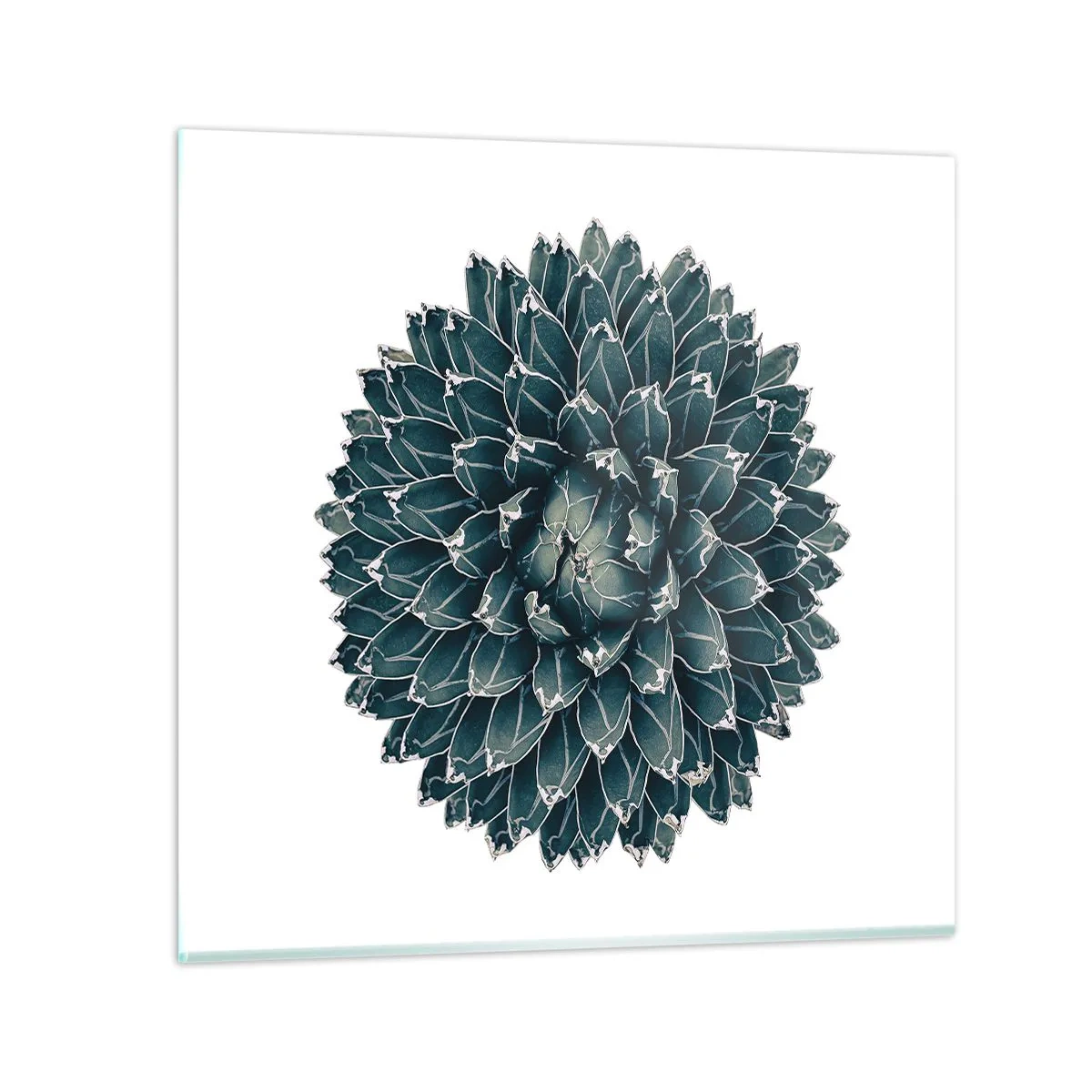 Tablou pe sticlă - Steaua deșertului - 70x70 cm