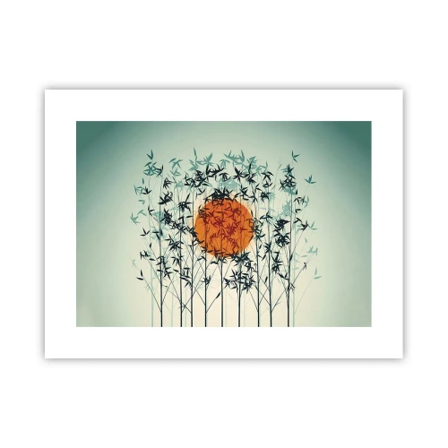 Poster - Soarele japonez - 40x30 cm
