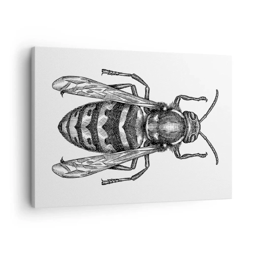Tablou pe pânză Canvas - Un motiv de viespe de desene animate pe fundal alb, în stil minimalist. - 70x50cm - De pe o planetă de insecte - Decorațiune modernă pentru perete pentru living și dormitor ARTTOR