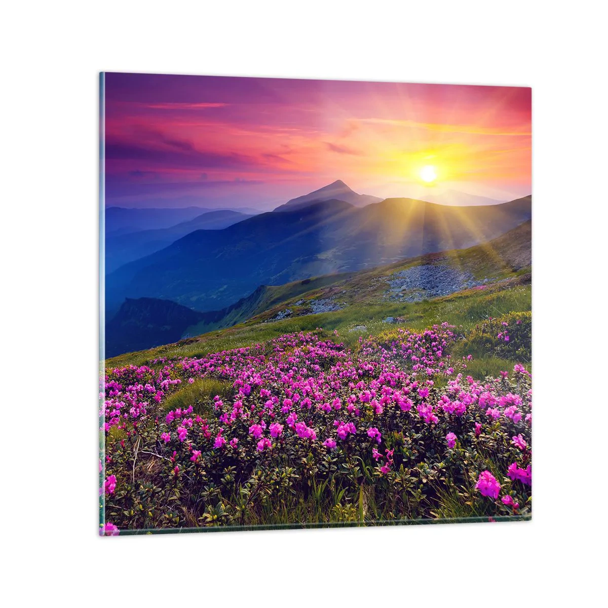 Tablou pe sticlă - ... Și peste tot în jur se simte un miros de jneapăn și parfum de ierburi... - 70x70 cm