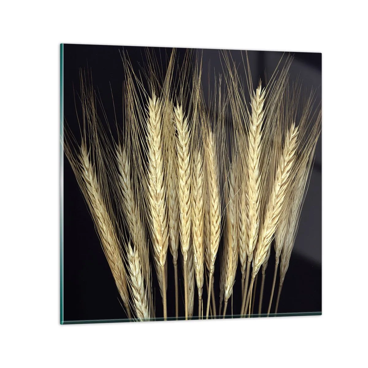 Tablou pe sticlă - Magie rustică - 60x60 cm