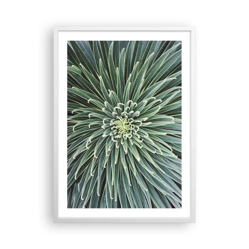 Poster în ramă albă - Nașterea unei stele - 50x70 cm