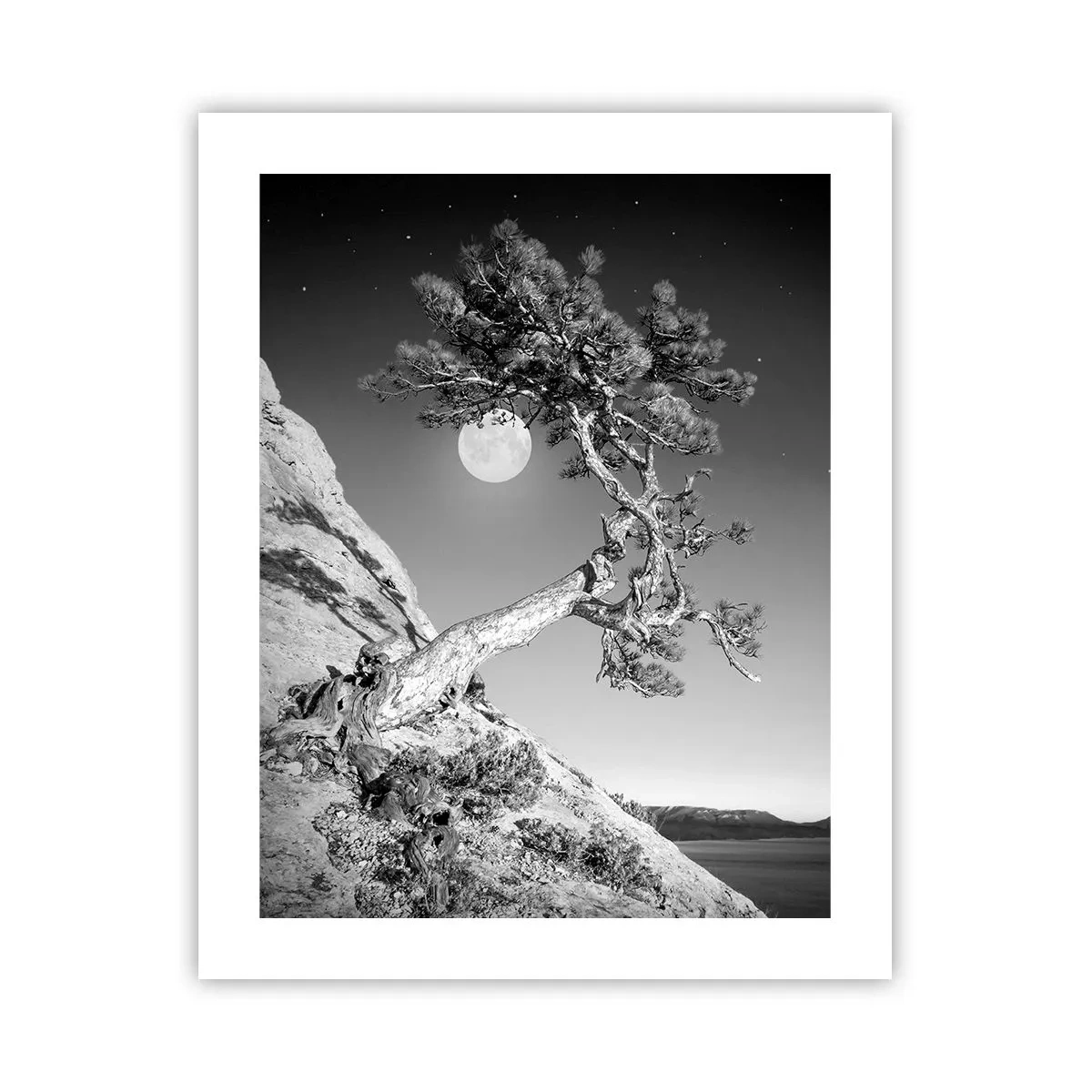 Poster - Războinicul victorios - 40x50 cm