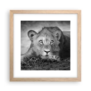 Poster în ramă de stejar deschis - Pisicuța regală - 30x30 cm