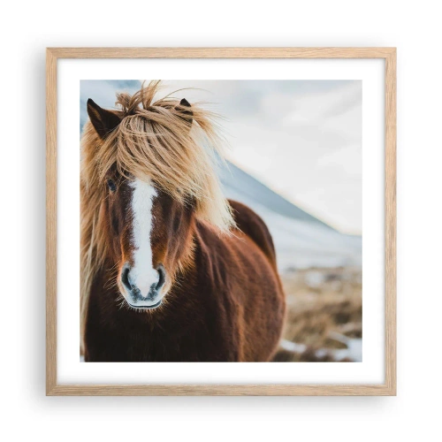 Poster în ramă de stejar deschis - Simțiți libertatea? - 50x50 cm