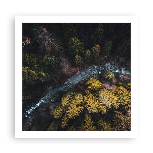 Poster - Rapid și mai rapid - 60x60 cm