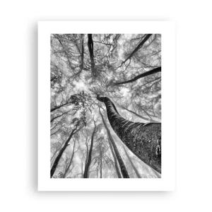 Poster - Cursa spre lumină - 40x50 cm