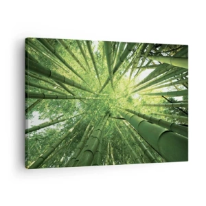 Tablou pe pânză Canvas - Vedere în sus printr-o dumbravă verde de bambus - 70x50cm - Într-o pădure de bambus - Decorațiune modernă pentru perete pentru living și dormitor ARTTOR