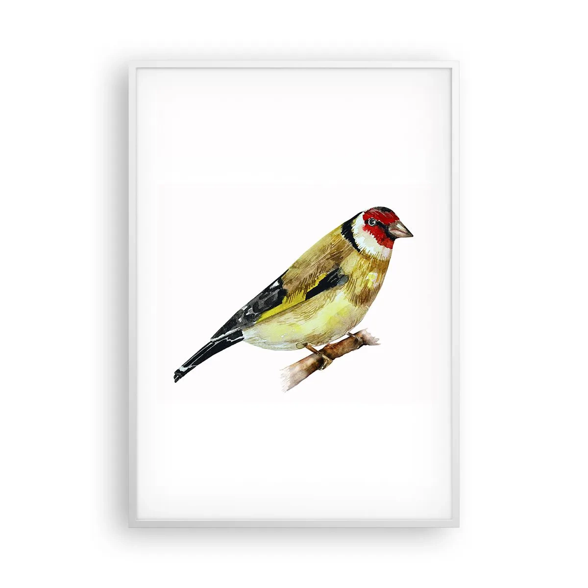 Poster în ramă albă - Portret de pasăre - 70x100 cm