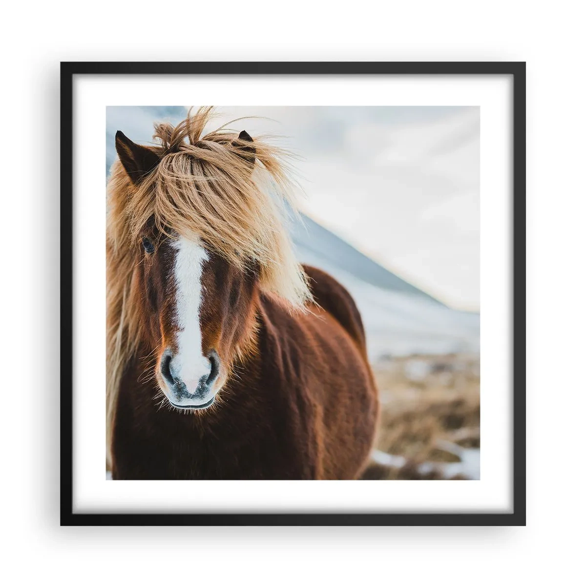 Poster în ramă neagră - Simțiți libertatea? - 50x50 cm