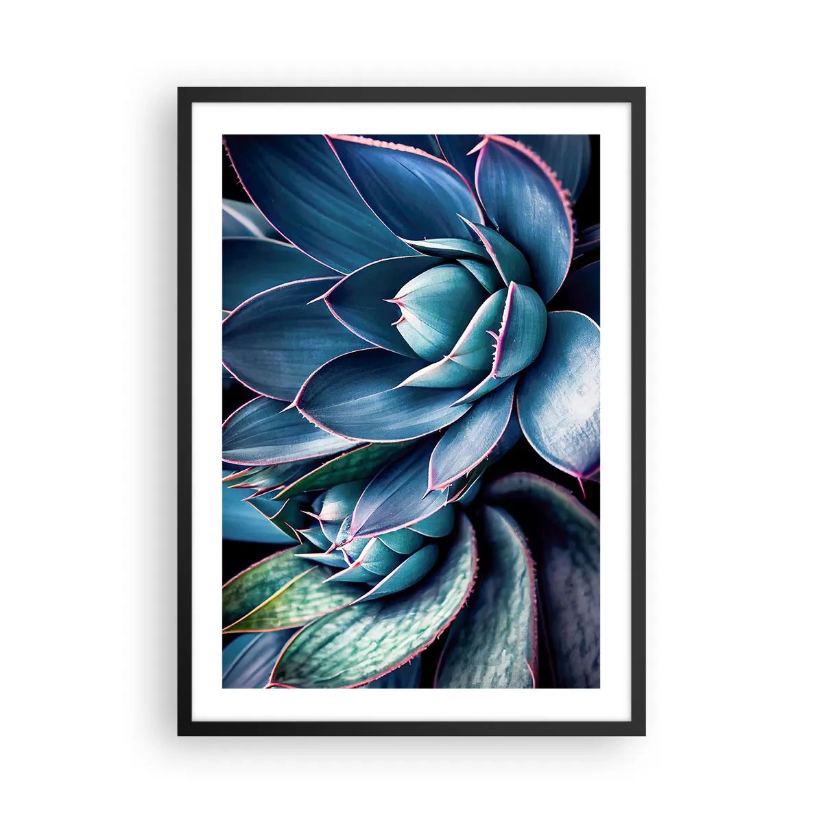 Poster în ramă neagră - Agave în nuanțe de albastru și verde - 50x70cm - Forța vitală - Decorațiune modernă pentru perete pentru living și dormitor ARTTOR