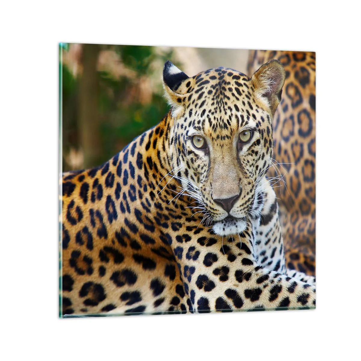 Tablou pe sticlă - Sălbatic și liniștit - 50x50 cm