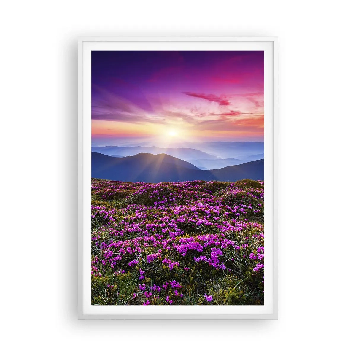 Poster în ramă albă - Ierburile proaspete miroseau puternic - 70x100 cm