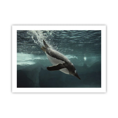 Poster - Bun venit în lumea mea - 70x50 cm