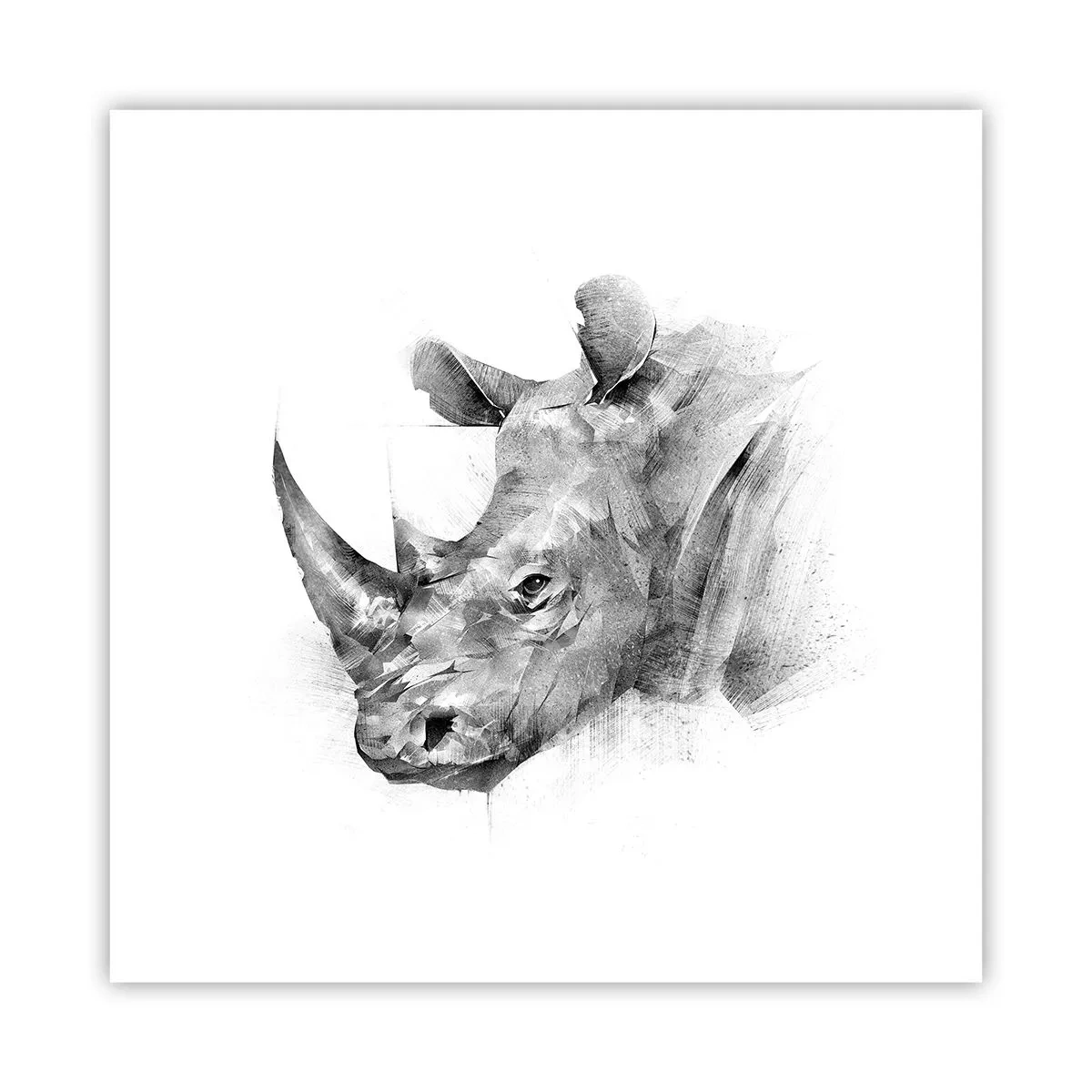 Poster - Portret african - 30x30 cm