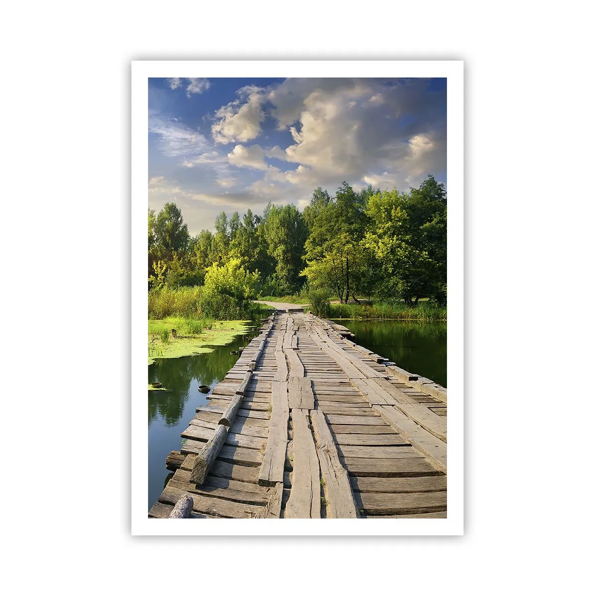 Poster - Vară, vară peste tot - 70x100 cm