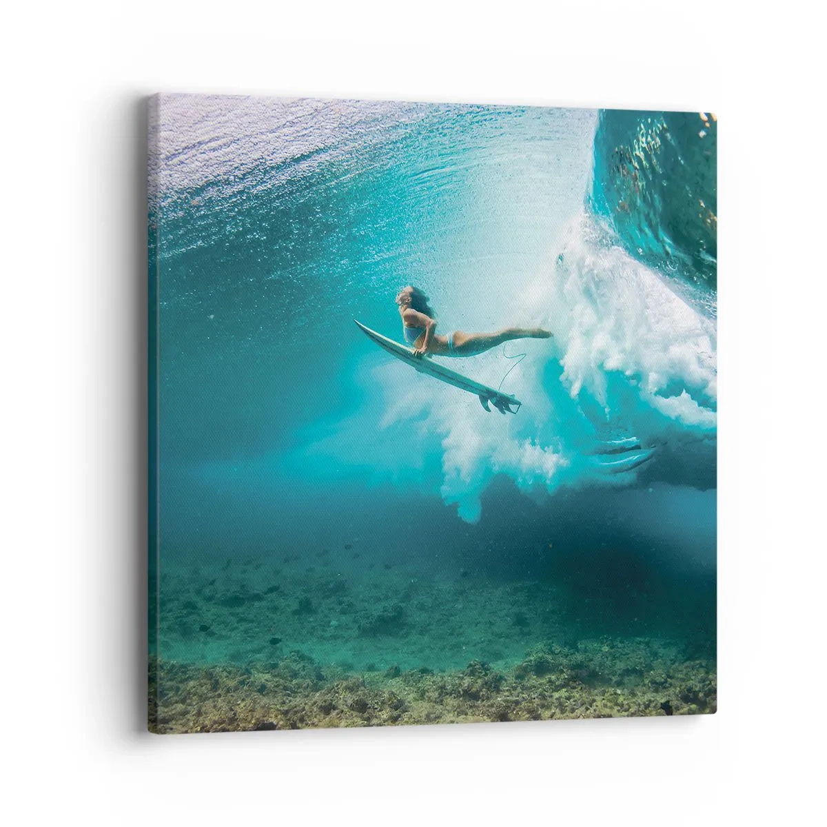 Tablou pe pânză - Lumea subacvatică - 40x40 cm