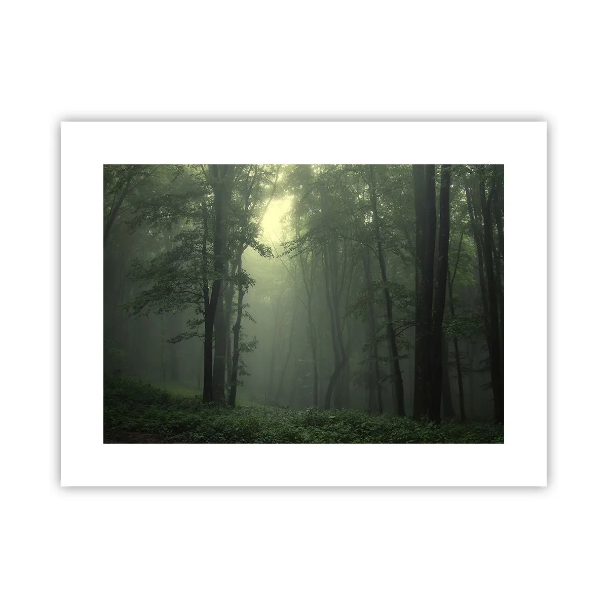 Poster - Înainte să se trezească - 40x30 cm