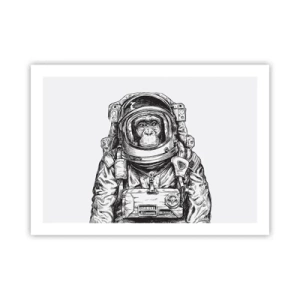 Poster - Evoluție alternativă - 70x50 cm