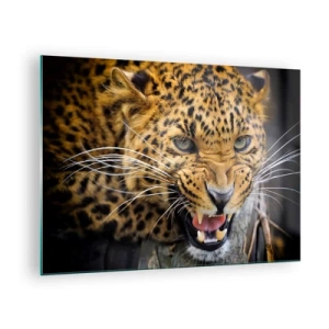 Tablou pe sticlă - Prim-plan al unui leopard agresiv cu detalii clare - 70x50cm - Nu te apropia, te avertizez! - Decorațiune modernă pentru perete pentru living și dormitor ARTTOR