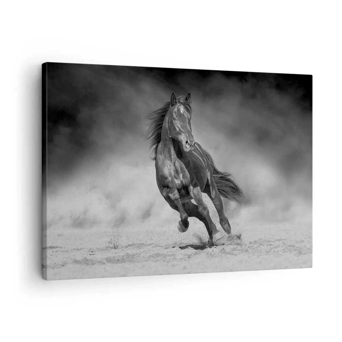 Tablou pe pânză Canvas - Un cal alb-negru galopând pe nisip - 70x50cm - Dorința emirului - Decorațiune modernă pentru perete pentru living și dormitor ARTTOR