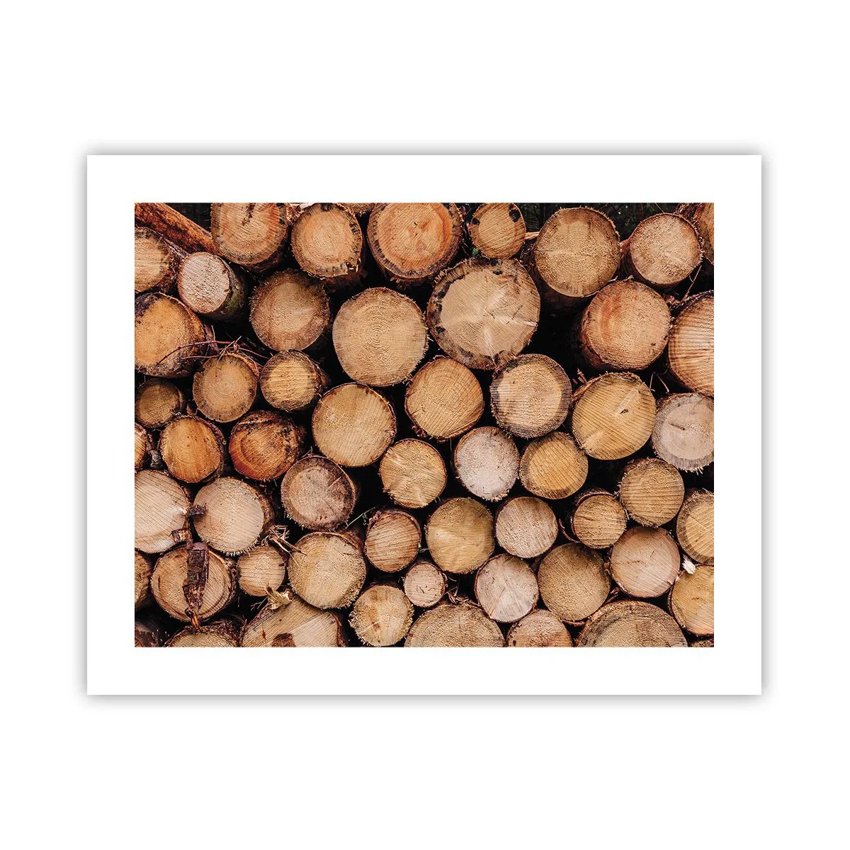 Poster - Un nou început - 50x40 cm