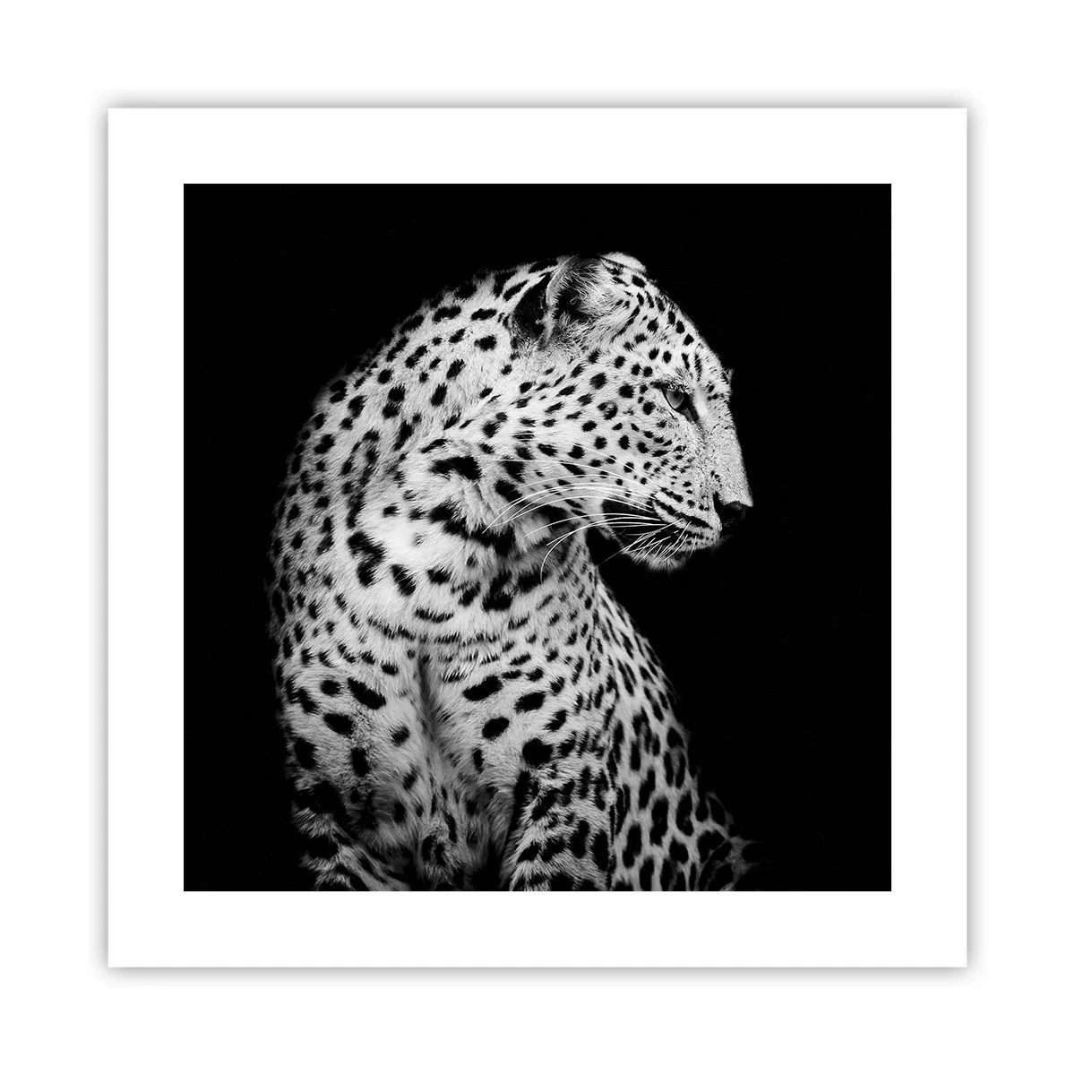 Poster - Profilul drept perfect! - 40x40 cm