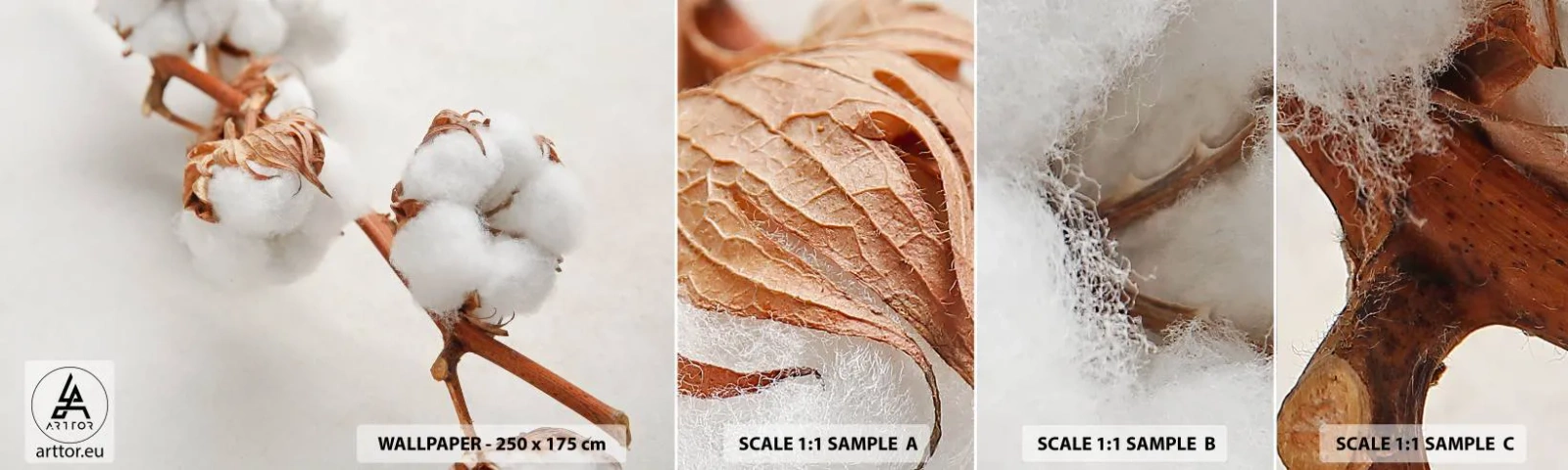 Mostră tapet autocolant Deluxe Sticker - Numai îmbrățișări - Floare de bumbac, Floare, Crenguta de bumbac - 100x30 cm