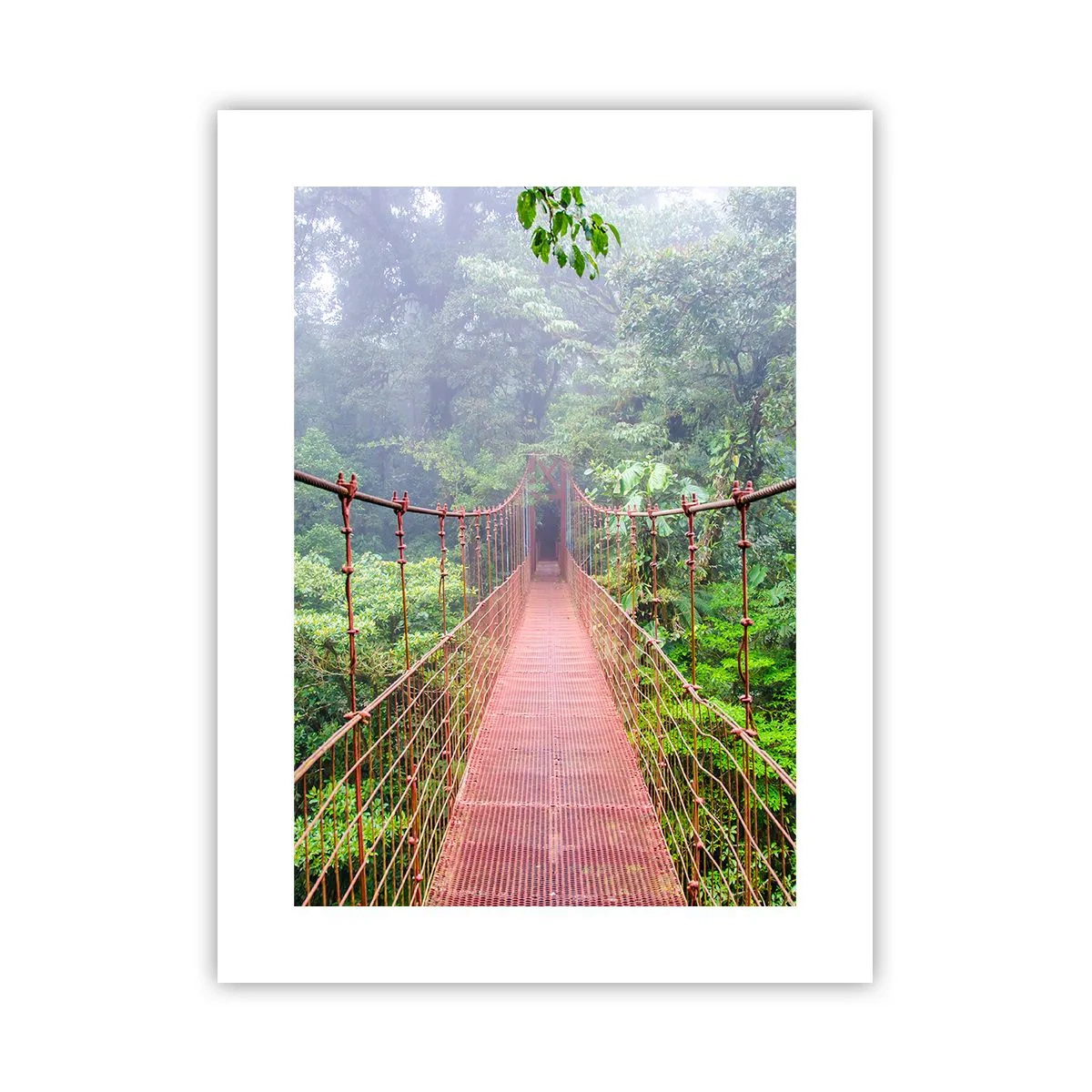 Poster - Suspendat deasupra coroanelor arborilor - 30x40 cm