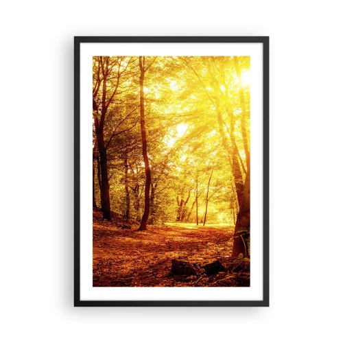 Poster în ramă neagră - Apus de soare luminând o pădure de toamnă plină de frunze aurii - 50x70cm - Spre o poiană de aur - Decorațiune modernă pentru perete pentru living și dormitor ARTTOR