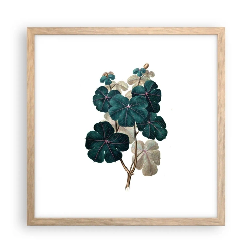 Poster în ramă de stejar deschis - Dintr-un vechi ierbar - 40x40 cm