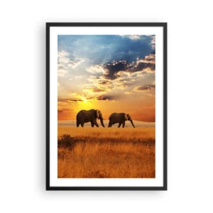Poster în ramă neagră - Elefanți mergând în strălucirea soarelui care apune - 50x70cm - Plimbare în familie - Decorațiune modernă pentru perete pentru living și dormitor ARTTOR