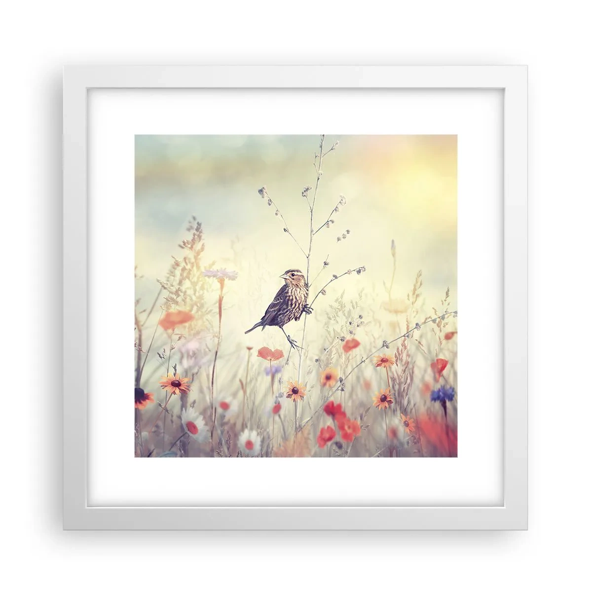 Poster în ramă albă - Portret de pasăre cu o pajiște în fundal - 30x30 cm