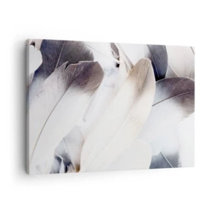 Tablou pe pânză Canvas - Prim-plan al unor pene delicate în nuanțe de alb și gri - 70x50cm - Aproape angelice - Decorațiune modernă pentru perete pentru living și dormitor ARTTOR