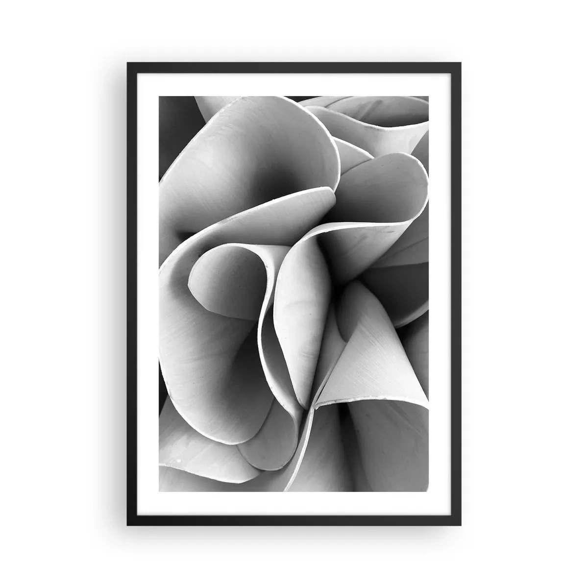 Poster în ramă neagră - Petale abstracte în nuanțe de gri - 50x70cm - Se întâmplă în spațiu - Decorațiune modernă pentru perete pentru living și dormitor ARTTOR