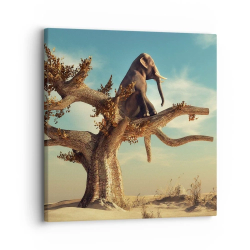 Tablou pe pânză - Un nou punct de vedere - 30x30 cm