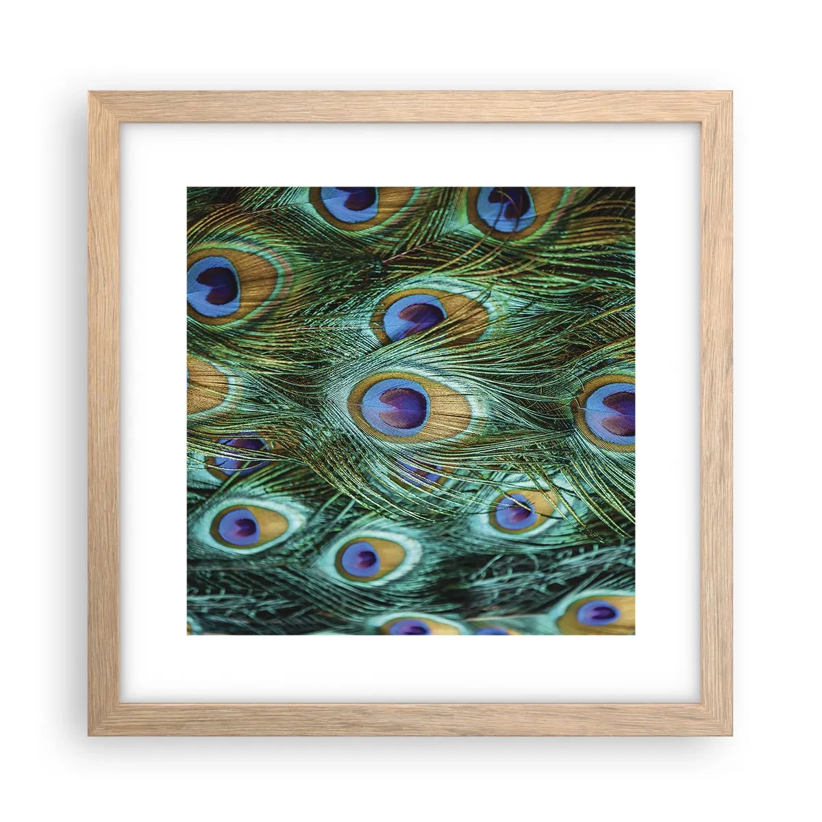 Poster în ramă de stejar deschis - O privire cu ochi de păun - 30x30 cm