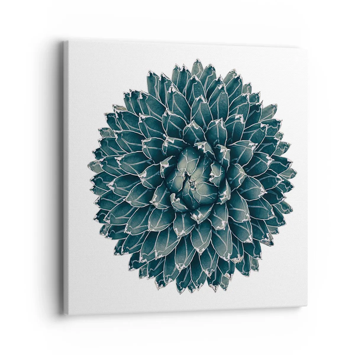 Tablou pe pânză - Steaua deșertului - 40x40 cm