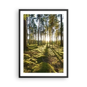Poster în ramă neagră - Pădure verde dimineața cu razele soarelui care răsare - 50x70cm - Pădurea misterioasă - Decorațiune modernă pentru perete pentru living și dormitor ARTTOR