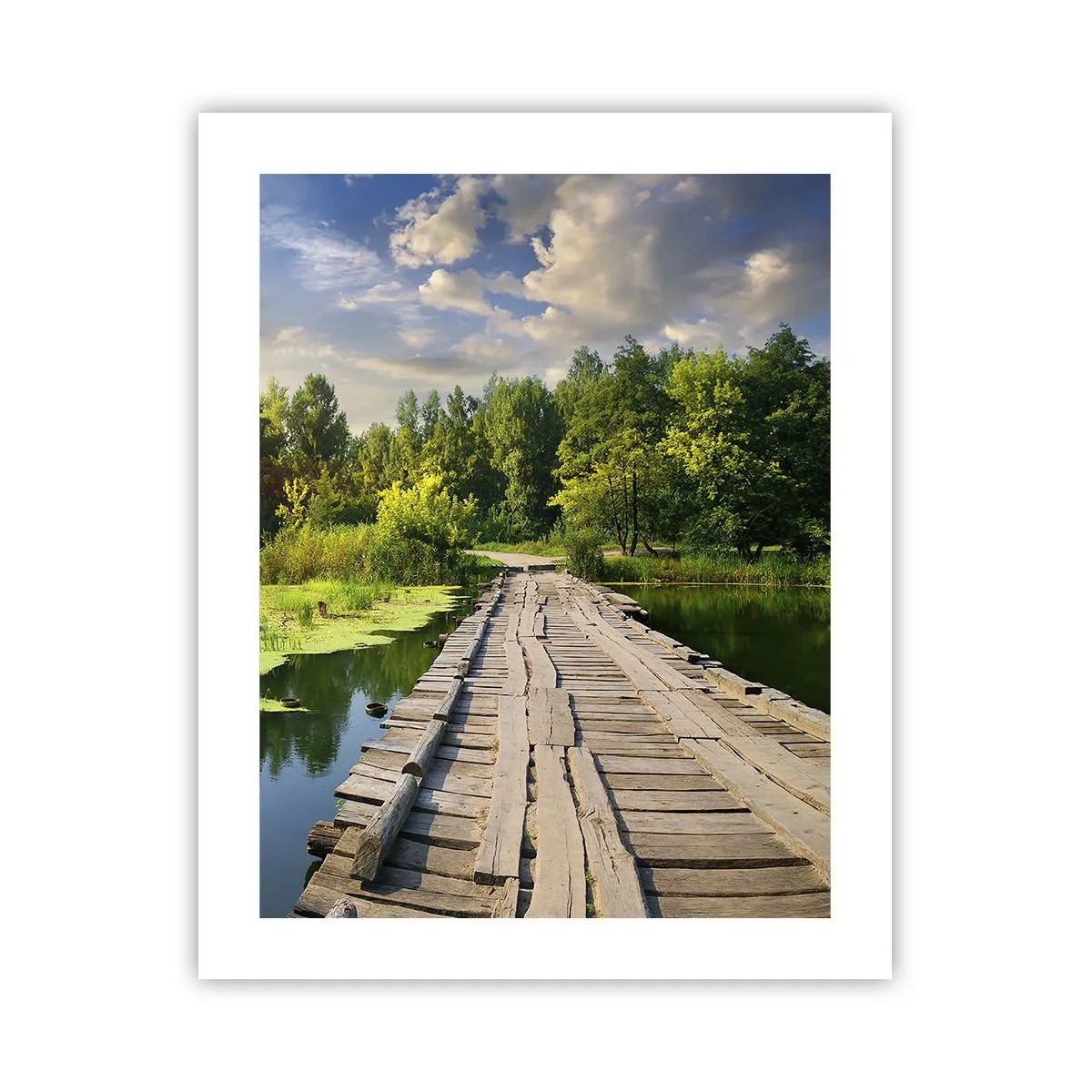 Poster - Vară, vară peste tot - 40x50 cm