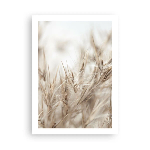 Poster - Pajiște și vânt - 50x70 cm