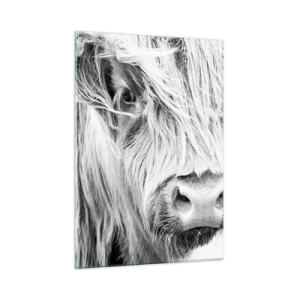 Tablou pe sticlă - Sălbăticie scoțiană - 50x70 cm