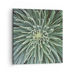 Tablou pe pânză - Nașterea unei stele - 70x70 cm