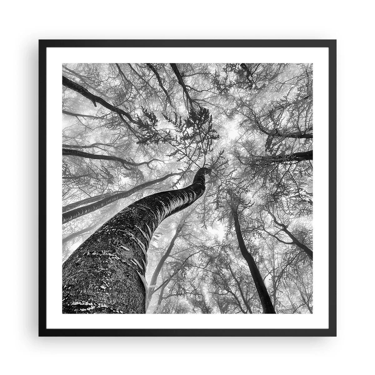 Poster în ramă neagră - Cursa spre lumină - 60x60 cm