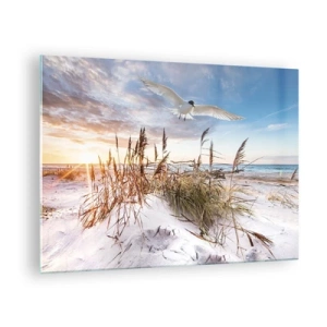 Tablou pe sticlă - O pasăre zburând peste dune la apus - 70x50cm - Vânt dinspre mare - Decorațiune modernă pentru perete pentru living și dormitor ARTTOR